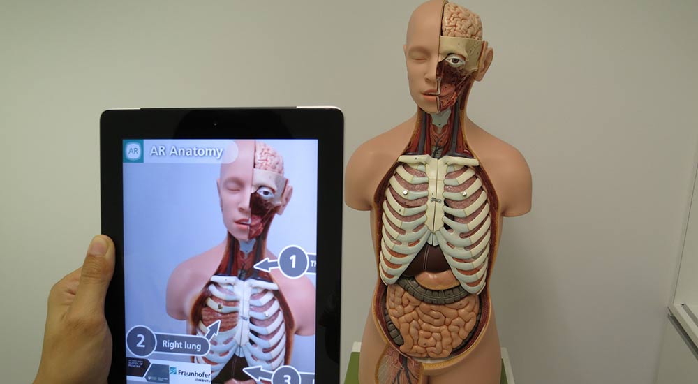 An augmented reality educational app showing the parts of an anatomy model.