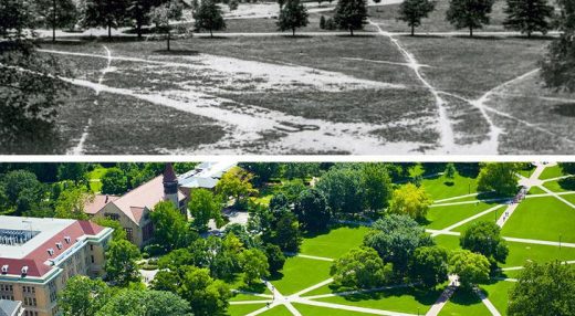 Photo showing before and after of how desire paths in ohio university led to the current paved pathways conforming to the desire paths.