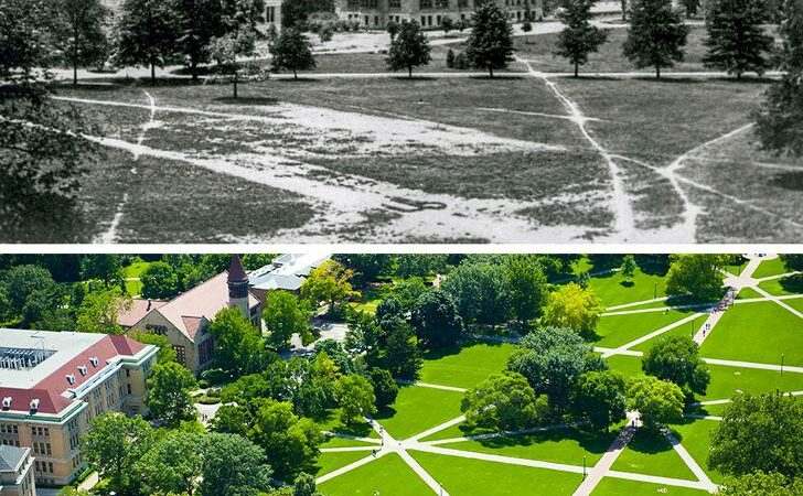 Desire Paths in User Experience and Product Design
