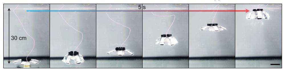 Image of a jelly fish like robot using the hydrostat form factor.