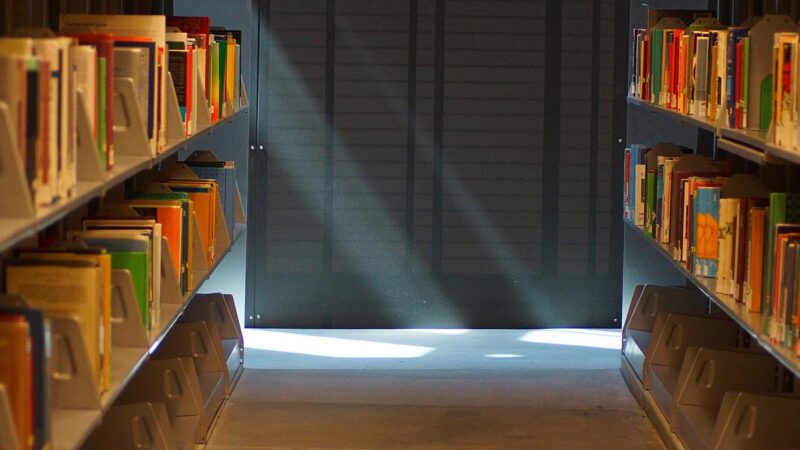 Open Access to All Research Papers – The Search for the Open Access Key