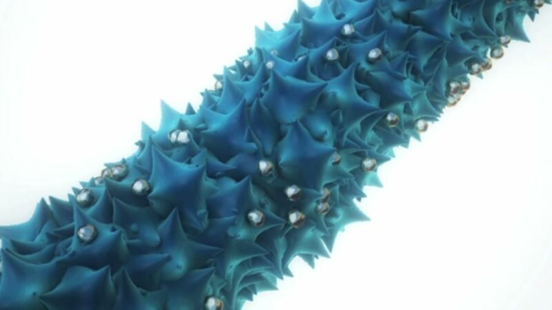 Lithium-Air Battery, Nanowires and Viruses: Could It Be The Next Battery Revolution?