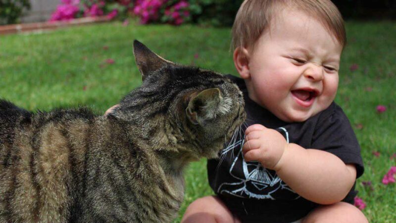 Why Do We Laugh When We Are Tickled?