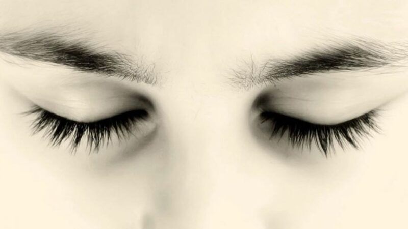 Why Do We Have Eyebrows?
