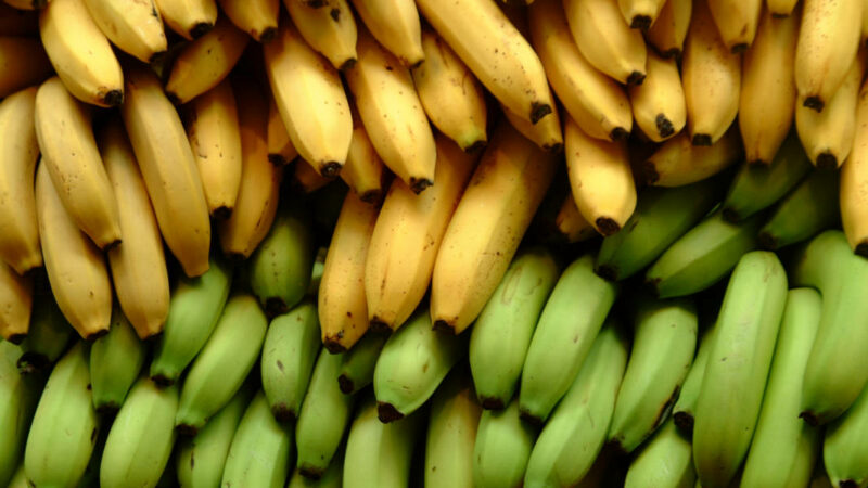 Why Are Bananas Radioactive?