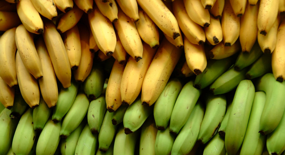 Geekswipe - Why Bananas Are Radioactive - Res - Flickr - 1