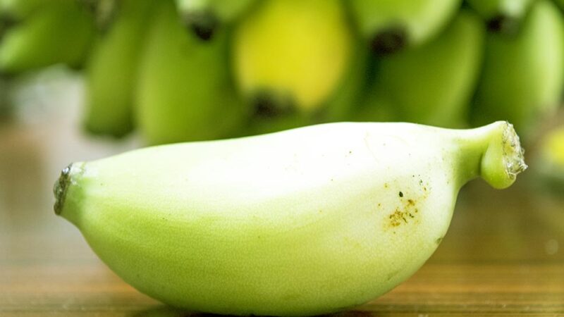 What Happens When Fruits Ripen?