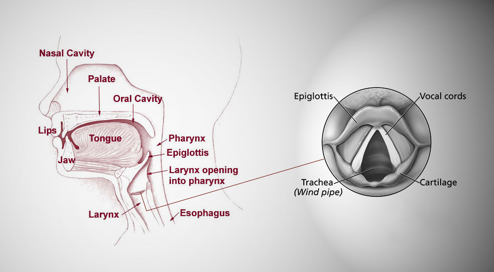 Can inhaling helium gas harm you? Find out