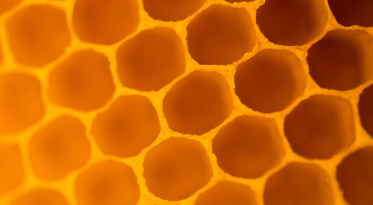 why-honeycomb-cells-are-built-hexagonally-geekswipe