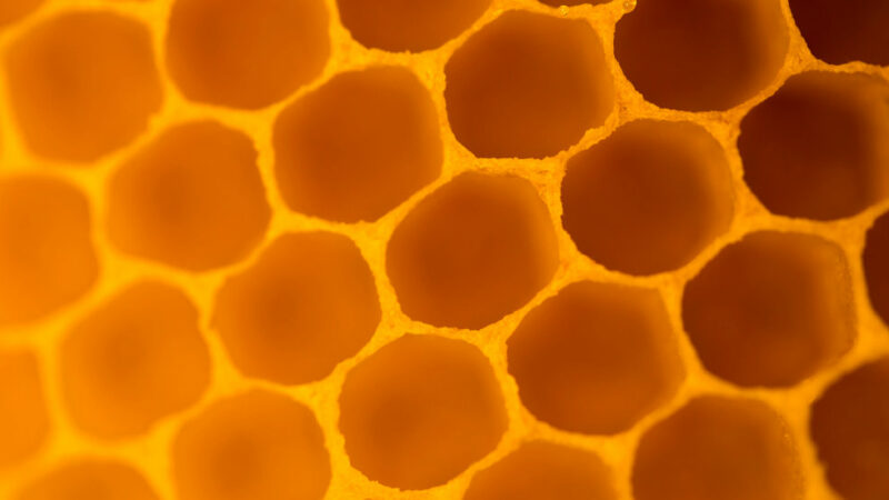 Why Honeycomb Cells Are Built Hexagonally?
