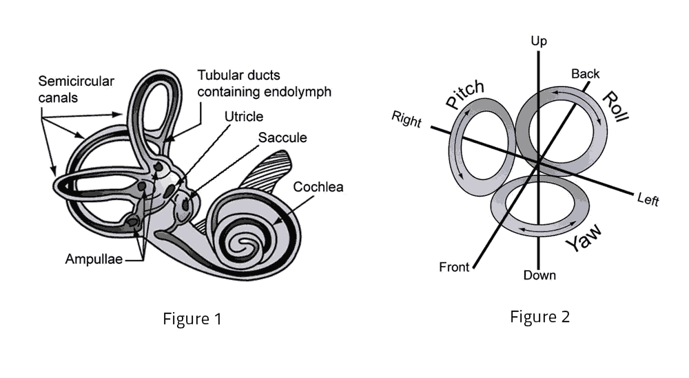 Illustration of the working of the vestibular system.