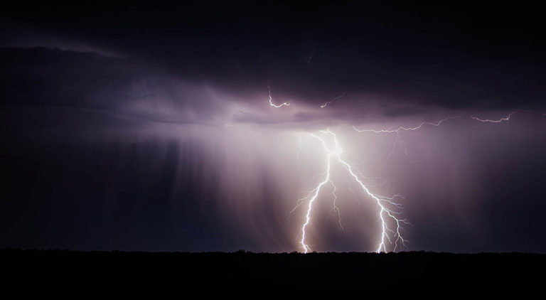 How Aquatic Animals Survive Lightning Strikes? - Geekswipe