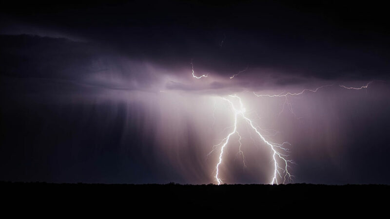 How Aquatic Animals Survive Lightning Strikes?