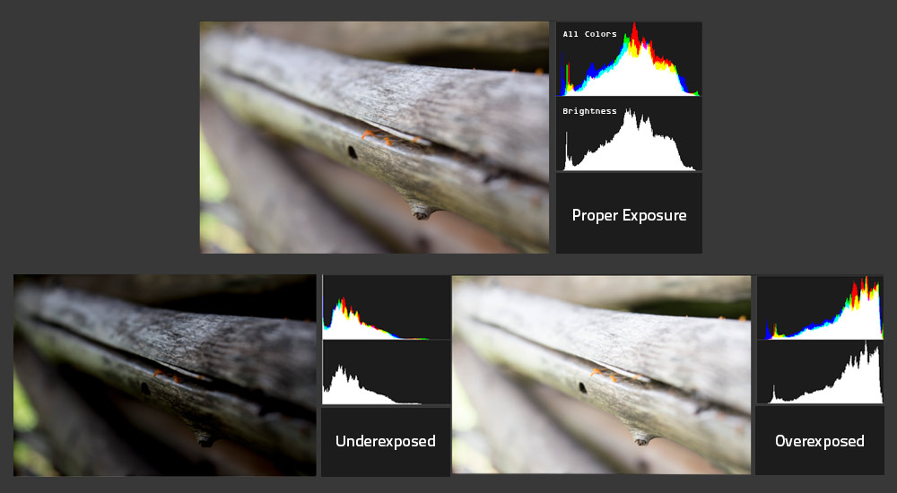 Histograms of a proper photo compared to those of the underexposed and overexposed photos.