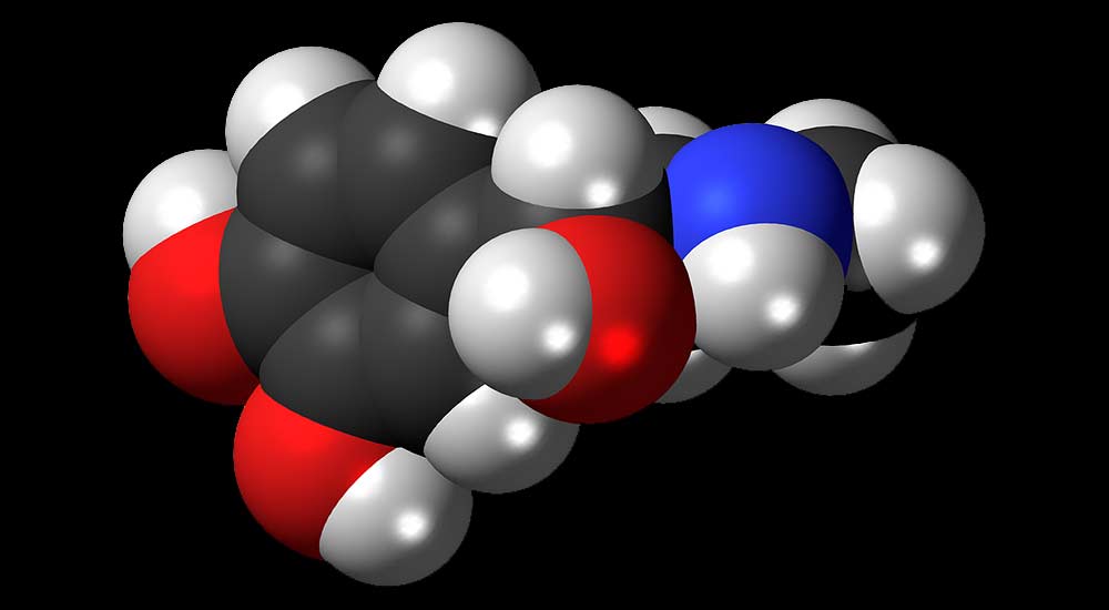 are-there-any-specific-reasons-why-carbon-based-compounds-are-termed-as