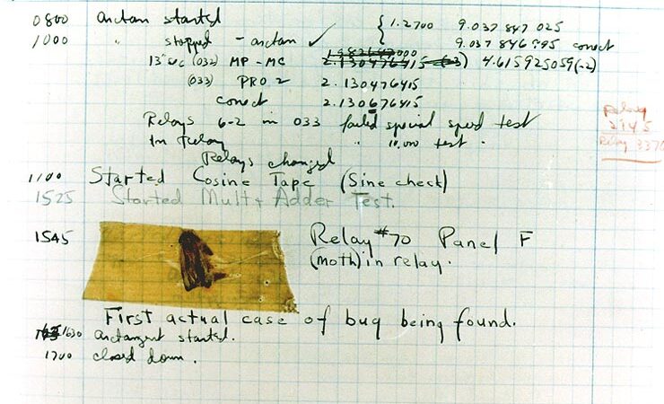 Why Do We Call Software Problems as Bugs?